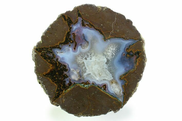 Colorful Polished Thunderegg Half - Nevada #337858